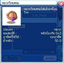 ภาพ:หมวกไหมพรม.png