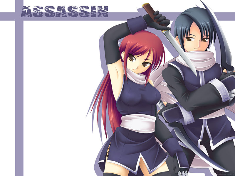 ภาพ:Assassin by maxwindy.jpg